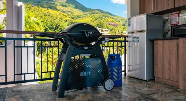 D'OFFAY SEAVIEW APARTMENTS - Mahé