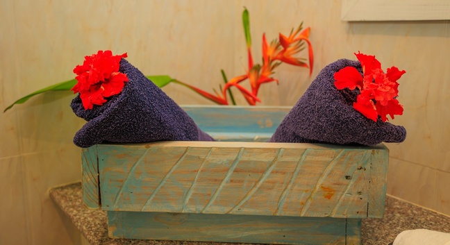 MILLES MONTAGNES RESIDENCE - Mahé