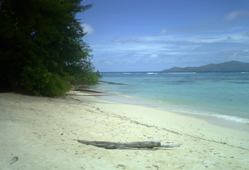 KOT BABI GUESTHOUSE LA DIGUE - La Digue